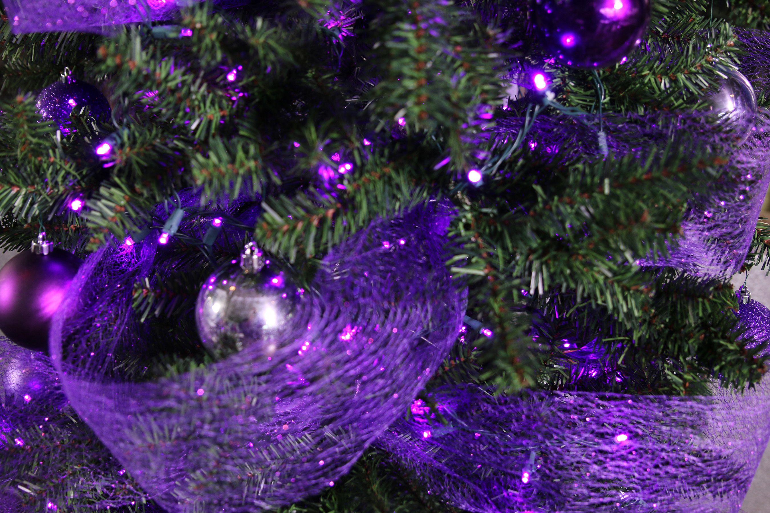 Shine a light on epilepsy awareness and show your support by decorating with purple lights.