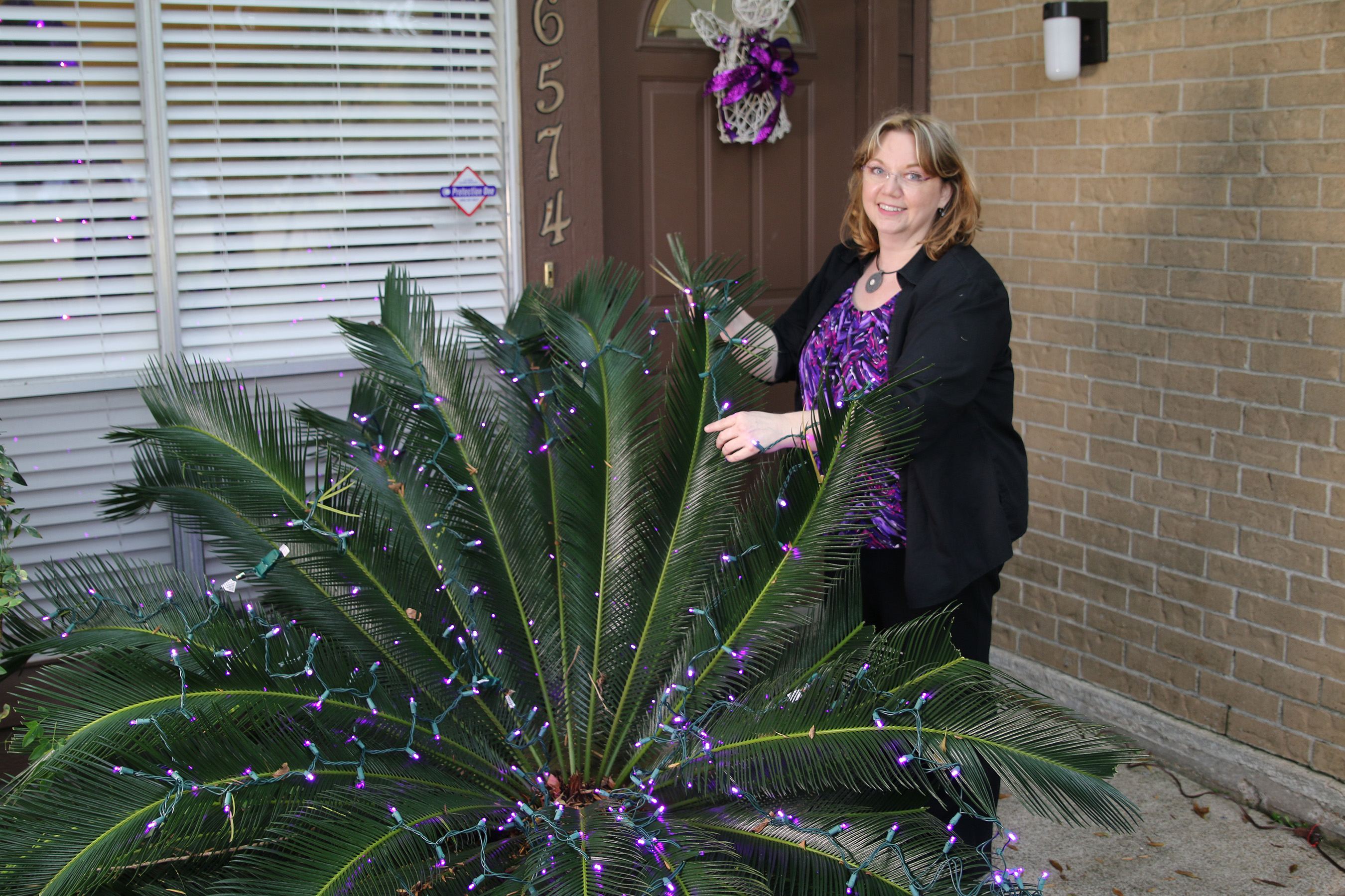 Cyberonics employees deck their halls with purple holiday lights.