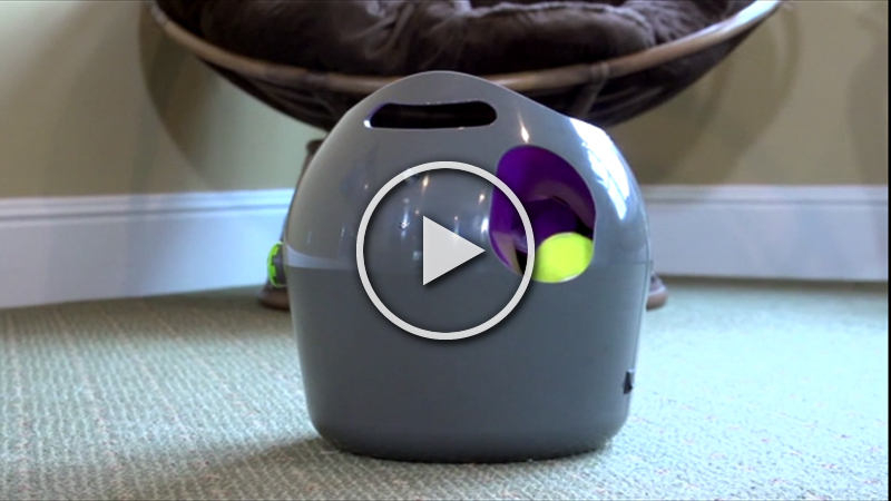 PetSafe Automatic Ball Launcher