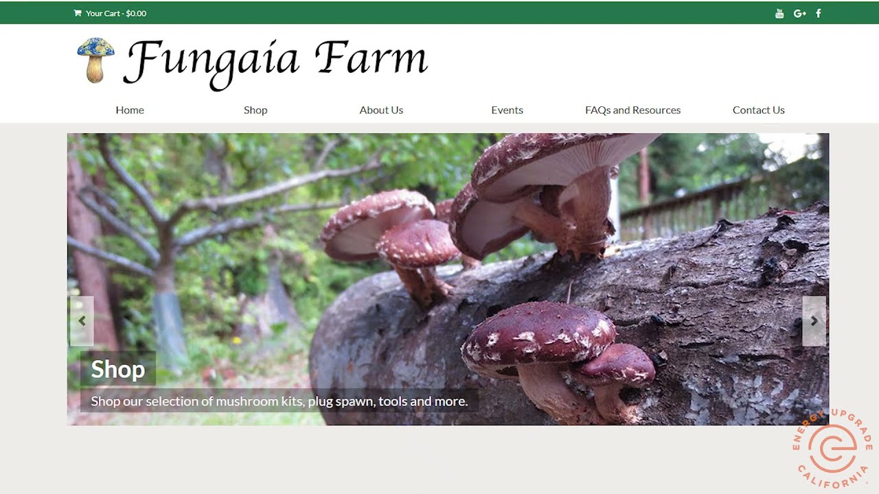 Built under the natural shading of the redwoods in Humboldt, California, Fungaia Farm produces amazing mushrooms while utilizing recycled building materials, LED lighting and nature’s elements to keep its energy use minimal.