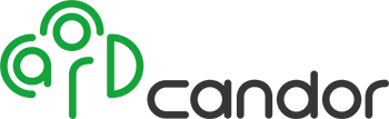 Candor Logo