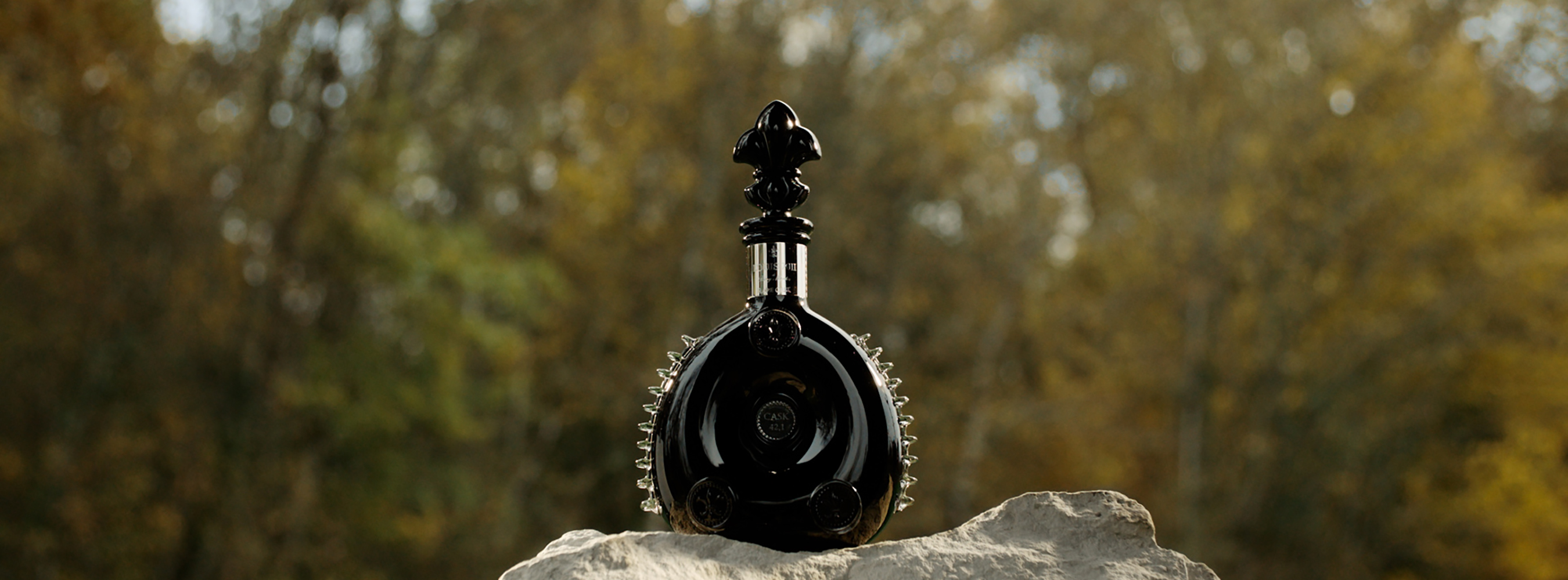 Louis XIII Hero