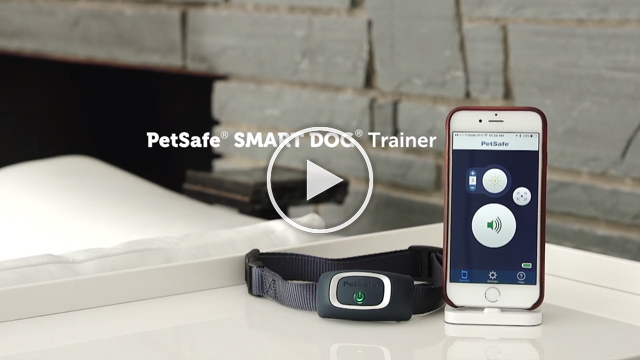 Petsafe smart hotsell dog trainer app